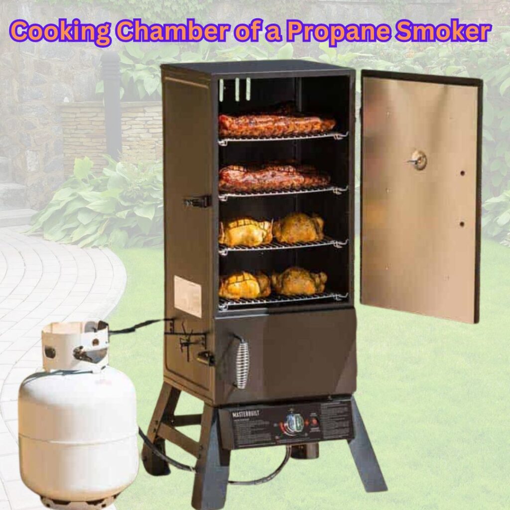Cooking Chamber of a propane smoker